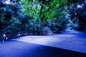 駆け足で過ぎていく夏 駆け足で過ぎていく夏