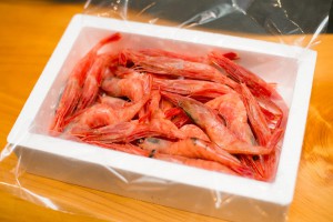 新潟の南蛮エビ 新潟の南蛮エビ